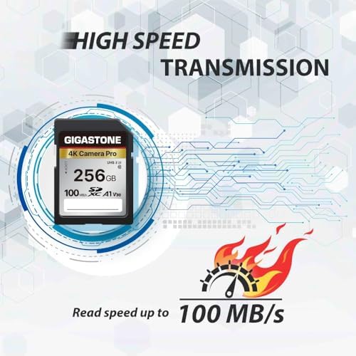 【5-Years Data Recovery】 GIGASTONE 256GB SD Card with USB Type C Card Reader, 4K Camera Pro, UHS-I A1 V30 U3 SDXC Memory Card Speed up to 170MB/s Compatible with Digital Camera, with 1 mini case - Image 4