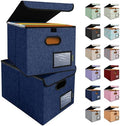 BALEINE File Organizer Box with Lid, Collapsible Hanging File Storage Box by BALEINE