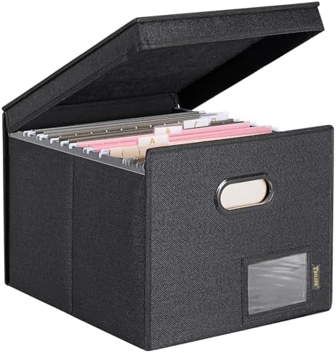 BALEINE File Organizer Box with Lid, Collapsible Hanging File Storage Box by BALEINE