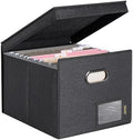 BALEINE File Organizer Box with Lid, Collapsible Hanging File Storage Box by BALEINE