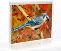 ClearBags Crystal Clear Greeting Card Boxes, 25 Pack, Box Case for Cards, Envelopes, Party Favors, Treats, Photo Storage, Gift Holder, Stationery Organizer, Small Business Packaging & Supplies, FB6A by ClearBags