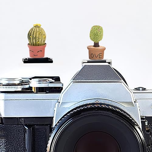 Camera Hot Shoe Cover, Cartoon Hot Shoe Cap, Hot Shoe Protector Compatible with Sony Fujifilm Fuji Canon Nikon Pentax Leical Panasonic (2pcs Love) by MENGSOOD