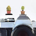 Camera Hot Shoe Cover, Cartoon Hot Shoe Cap, Hot Shoe Protector Compatible with Sony Fujifilm Fuji Canon Nikon Pentax Leical Panasonic (2pcs Love) by MENGSOOD