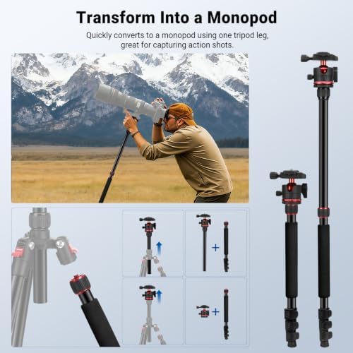 NEEWER Basics 72" / 182 cm Travel Tripod Monopod for Camera, Compact Lightweight Portable Video Recording Stand, Arca Type Ball Head, Cell Phone Holder Compatible with iPhone, Max Load 13.2 lb, TP14B - Image 6