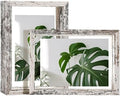 Egofine Distressed White 5x7 Floating Frames Set of 2, Double Plexiglass Picture Frame, Made of Solid Wood Display Any Size Photo up to 5x7, Wall Mount or Tabletop Standing by Egofine