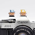 ZOSTLAND Adorable SLR Camera Hot Shoe Boot Cover Cap,Box Shoe Protector,Compatible with Sony Fuji Canon Nikon Pentax Leical. (2pcs Cat) by ZOSTLAND
