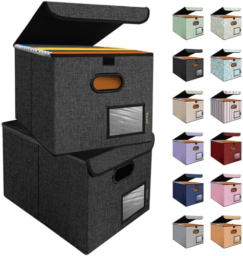 BALEINE File Organizer Box with Lid, Collapsible Hanging File Storage Box by BALEINE
