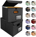 BALEINE File Organizer Box with Lid, Collapsible Hanging File Storage Box by BALEINE