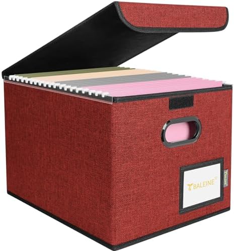 BALEINE File Organizer Box with Lid, Collapsible Hanging File Storage Box by BALEINE