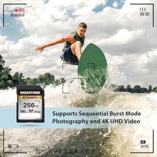 【5-Years Data Recovery】 GIGASTONE 256GB SD Card with USB Type C Card Reader, 4K Camera Pro, UHS-I A1 V30 U3 SDXC Memory Card Speed up to 170MB/s Compatible with Digital Camera, with 1 mini case - Image 6