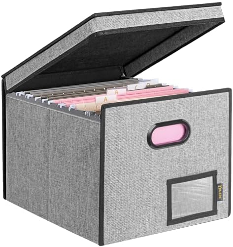 BALEINE File Organizer Box with Lid, Collapsible Hanging File Storage Box by BALEINE