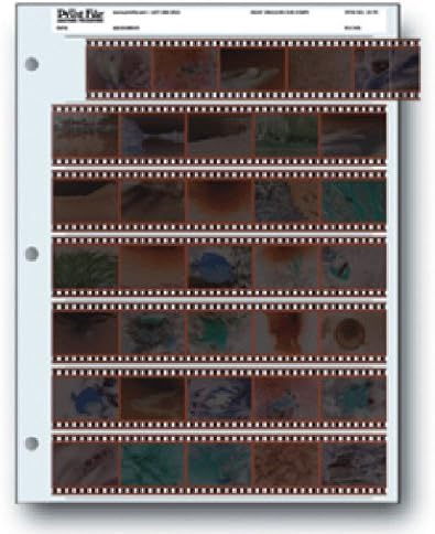 Archival Storage Sheets 35-7B25 for 35mm Film Negatives 7 Strips 25 Pack by PrintFileArchivalStorage