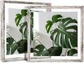 Egofine Distressed White 12x12 Floating Frames Set of 2, Double Plexiglass Picture Frame, Made of Solid Wood Display Any Size Photo up to 12x12, Wall Mount or Tabletop Standing by Egofine