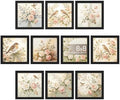 upsimples 8x8 Picture Frame, Photo Collage Wall Decor Set of 10, Black by upsimples
