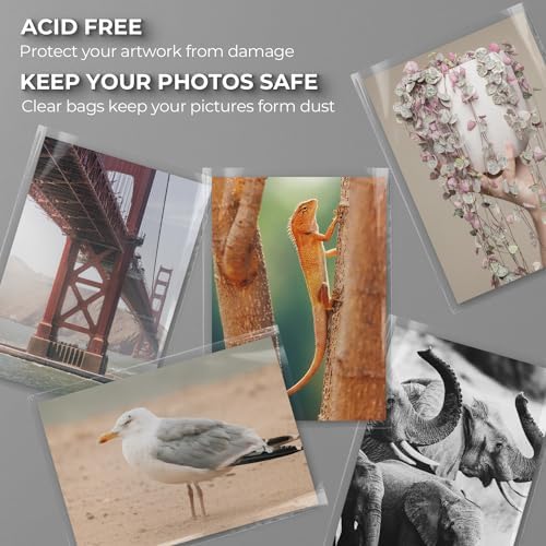 Frametory, 25 Pack 6 1/2" x 8 1/3" Acid-Free Clear Plastic Bags - Image 6