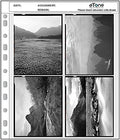 50x eTone Archival Storage Sheets 4x5 Negative Page Preservers (50X45) by eTone