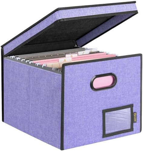 BALEINE File Organizer Box with Lid, Collapsible Hanging File Storage Box by BALEINE