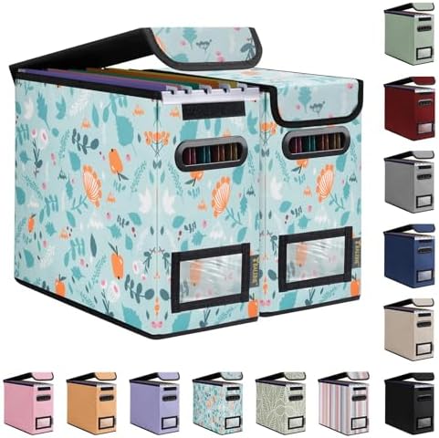BALEINE File Organizer Box with Lid, Collapsible Hanging File Storage Box by BALEINE