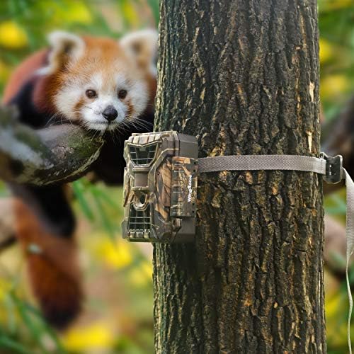WingHome Wildlife Trail Camera Mounting Straps - Image 5