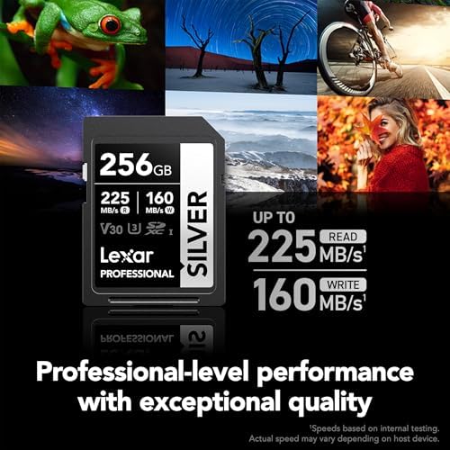 Lexar 256GB Silver SD Memory Card, 225MB/s Read, 4K, V30, U3, UHS-I - Image 3