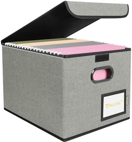BALEINE File Organizer Box with Lid, Collapsible Hanging File Storage Box by BALEINE