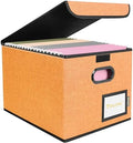 BALEINE File Organizer Box with Lid, Collapsible Hanging File Storage Box by BALEINE