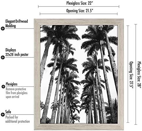 Americanflat 22x28 Poster Frame - Driftwood Engineered Wood with Polished Plexiglass - Wide Picture Frame for Vertical or Horizontal Wall Display - Epic Collection - Driftwood - Image 2