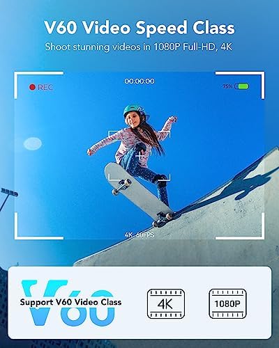 Lexar 256GB 2-Pack Silver PRO SD Card, 280MB/s Read, 4K, V60, U3, UHS-II - Image 5