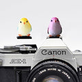 ZOSTLAND Special SLR Camera Hot Shoe Boot Cover Cap,Attractive Shoe Protector,Compatible with Sony Fuji Canon Nikon Pentax Leical. (2pcs Bird) by ZOSTLAND