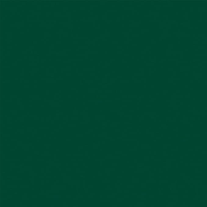 Denny Mfg Seamless Paper Backdrop for Photoshoot, Pine Green, 53 in x 36 ft | Photoshoot backdrop, Matte Finish for Portraits, Product Photos and Video Shoots, with Free Roll Gaffer Tape (2 in x 13 ft) - Image 8