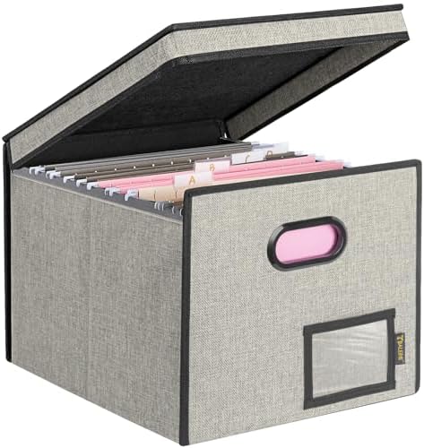 BALEINE File Organizer Box with Lid, Collapsible Hanging File Storage Box by BALEINE