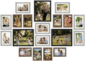 upsimples Picture Frames set of 19, Including 8x10, 5x7, 4x6 Rustic Frame by upsimples