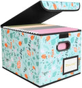 BALEINE File Organizer Box with Lid, Collapsible Hanging File Storage Box by BALEINE