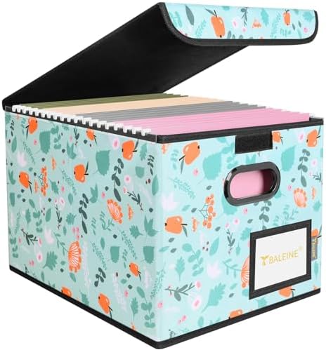 BALEINE File Organizer Box with Lid, Collapsible Hanging File Storage Box by BALEINE