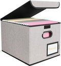 BALEINE File Organizer Box with Lid, Collapsible Hanging File Storage Box by BALEINE