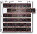 Print File 35mm Size Negative Pages Holds Six Strips of Six Frames, Pack of 25 by PrintFileArchivalStorage