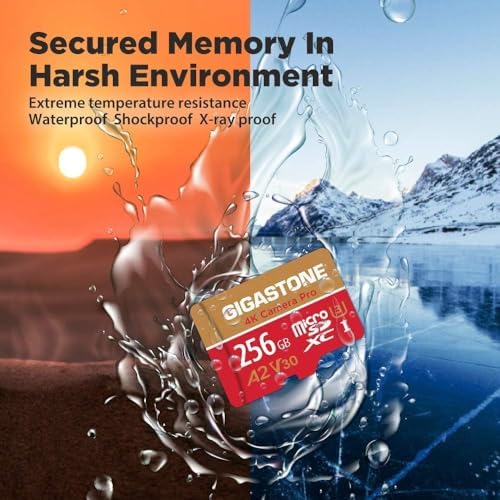 [5-Years Data Recovery] Gigastone 256GB Micro SD Card, 4K Camera Pro, A2 V30 UHS-I U3, Up to 100MB/s, for Smartphone, GoPro, Action Cam, 4K UHD Video, Nintendo Switch, with Adapter & USB-C Reader - Image 6