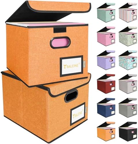 BALEINE File Organizer Box with Lid, Collapsible Hanging File Storage Box by BALEINE
