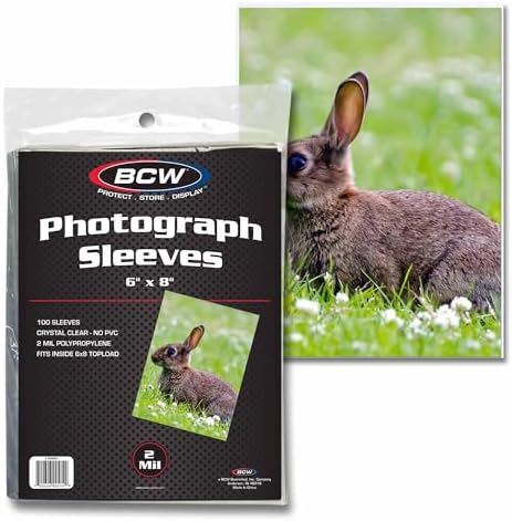 BCW 6x8 Photo Sleeves - 100 Pack | Archival Photo Sleeves for Art, Postcards & Photos | Acid-Free, No PVC | Archival Quality for Storage & Display by BCW