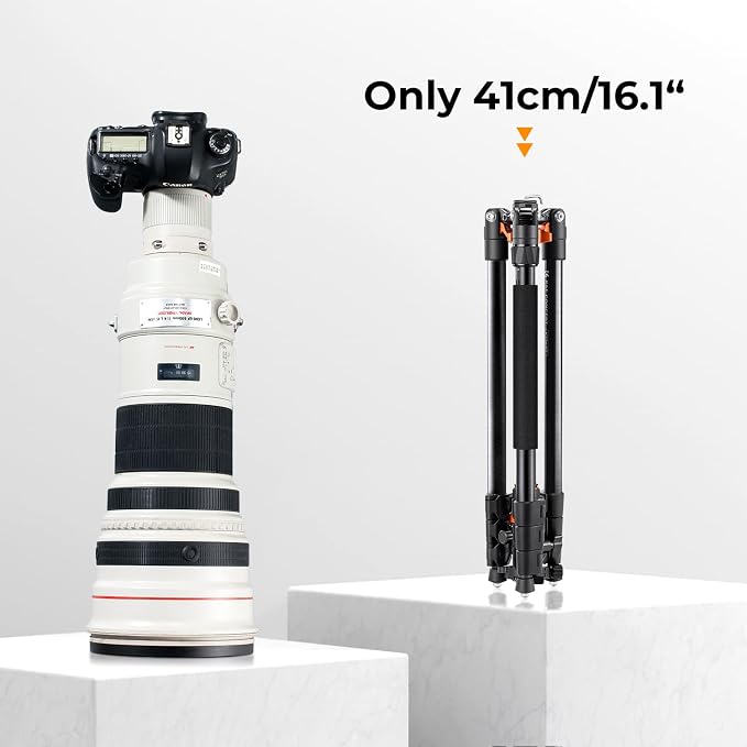 K&F CONCEPT 62" Compact Aluminum DSLR Camera Tripod | Detachable Monopod Tripod, 360° Ball Head, QR Plate, 22lbs Payload for Travel/Work, O254A1+BH-28L - Image 3