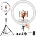 22" Ring Light with Stand: Touch Screen LED Display & 75" Tall Tripod, | 3 Color modes 6500K / 2 USB Ports Foldable LED Big Ring Light Tripod for Live Stream,YouTube,TikTok Video Shooting by Auriani
