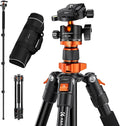K&F CONCEPT 62" Compact Aluminum DSLR Camera Tripod | Detachable Monopod Tripod, 360° Ball Head, QR Plate, 22lbs Payload for Travel/Work, O254A1+BH-28L by KFCONCEPT