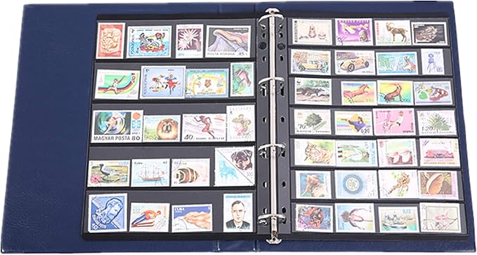 MUDOR Stamp Pages for Stamp Collection Album Binder Book, 10 Sheet 5 Rows | Stamp Sleeves 5 Pocket for Collectors ,Stamp Collecting Sheets Supplies,Professional Pack - Image 5