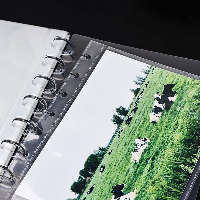 Clear Discbound Pocket Sleeves 7 Disc Sheet Protectors 20 Inner Pages PP 5x7 Pockets PET Cover Photo Card Protector Binder Album (1 Pocket - 7 Disc) - Image 8