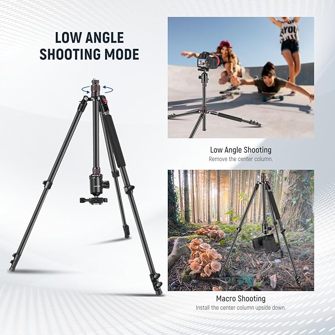 NEEWER 77" Camera Tripod Monopod with Cell Phone Holder Compatible with iPhone for Video Recording, Compact Aluminum Travel Stand with Ball Head QR Plate Bag Cleaning Cloth, Max Load 34lb, TP77 - Image 5