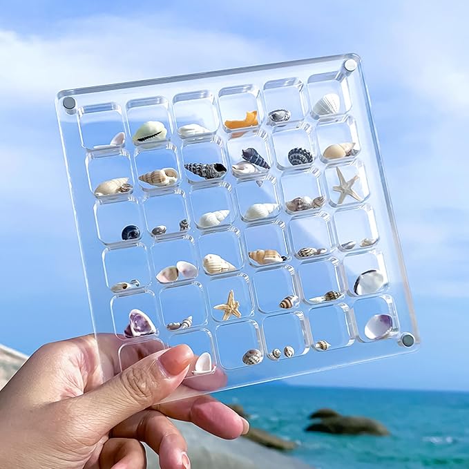 Acrylic Magnetic Seashell Display Case HD Panel with Tweezers | Small Upgraded Grids with Magnetic Snap, a Seashell Display Box for Collecting Shells, Jewelry, Crystals, Beads - Image 4