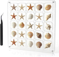 Acrylic Magnetic Seashell Display Case HD Panel with Tweezers | Large Upgraded Grids with Magnetic Snap, a Seashell Display Box for Collecting Shells, Jewelry, Crystals, Beads by MUXIUNT