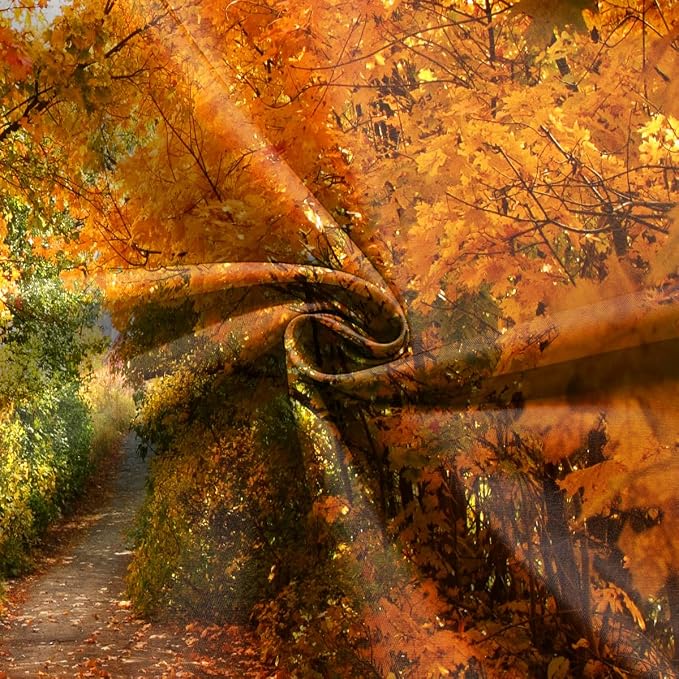8x6 FT Fall Leaves Forest Autumn Backdrop Wedding Party Park Bridal Shower Theme Background for Photography YouTube Outdoor Travel Family Birthday Photo Props, Clear - Image 4