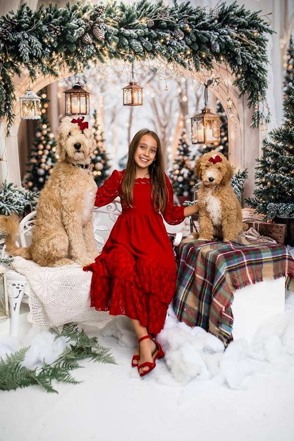 Kate Christmas Arch Door Backdrops Winter White Snow Land Photo Background Party Supplies Stduio Props, 10x8ft - Image 3