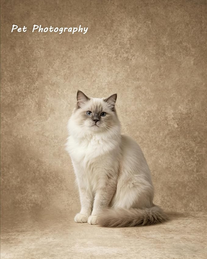8x10ft Beige Photo Backdrop,Classic Abstract Texture Photography Background,Backdrop for Studio Photoshoot,Live Stream,Baby Shower,Pregnant Women & Product Shooting - Image 4